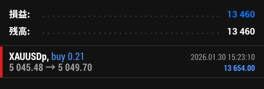 トレード損益：-13,460円